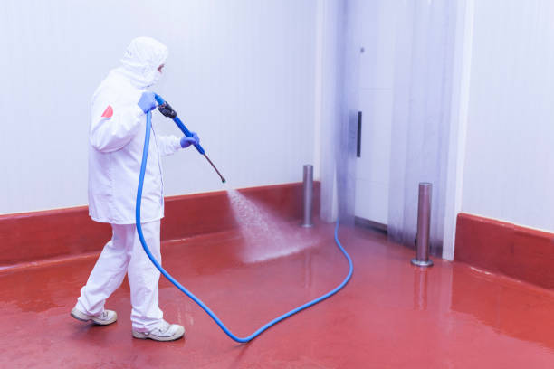 Best Building Exterior Washing  in Forest Hill, TX